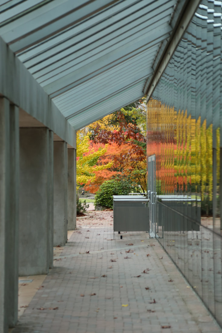 A picture of trees with leaves of green, yellow, orange and dark red, and their reflection along the glass of WWU's chemistry building.